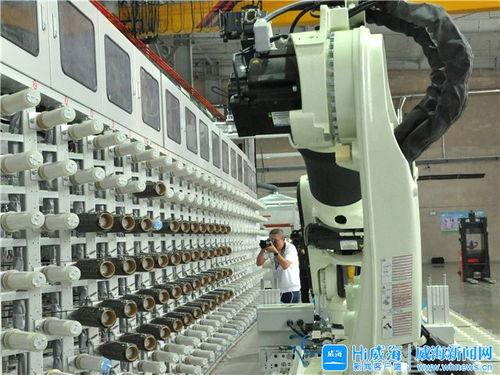 探尋威海“小巨人”物流企業的成長密碼